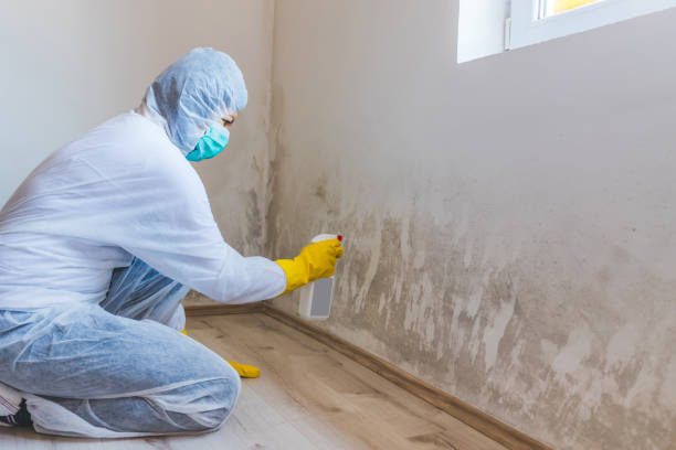 Best Crawl Space Mold Removal  in Chamberlayne, VA
