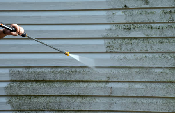 Best Certified Mold Removal  in Chamberlayne, VA