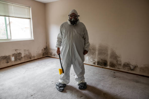 Best Mold Remediation  in Chamberlayne, VA
